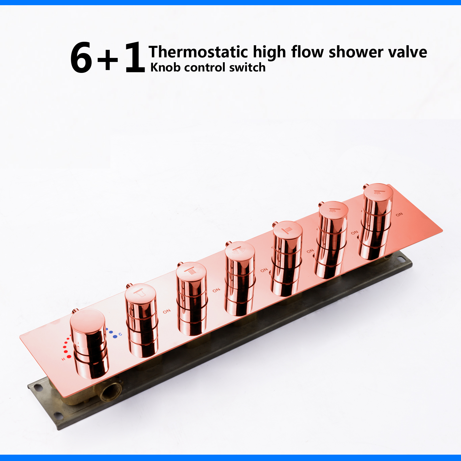 Alcachofa de la ducha