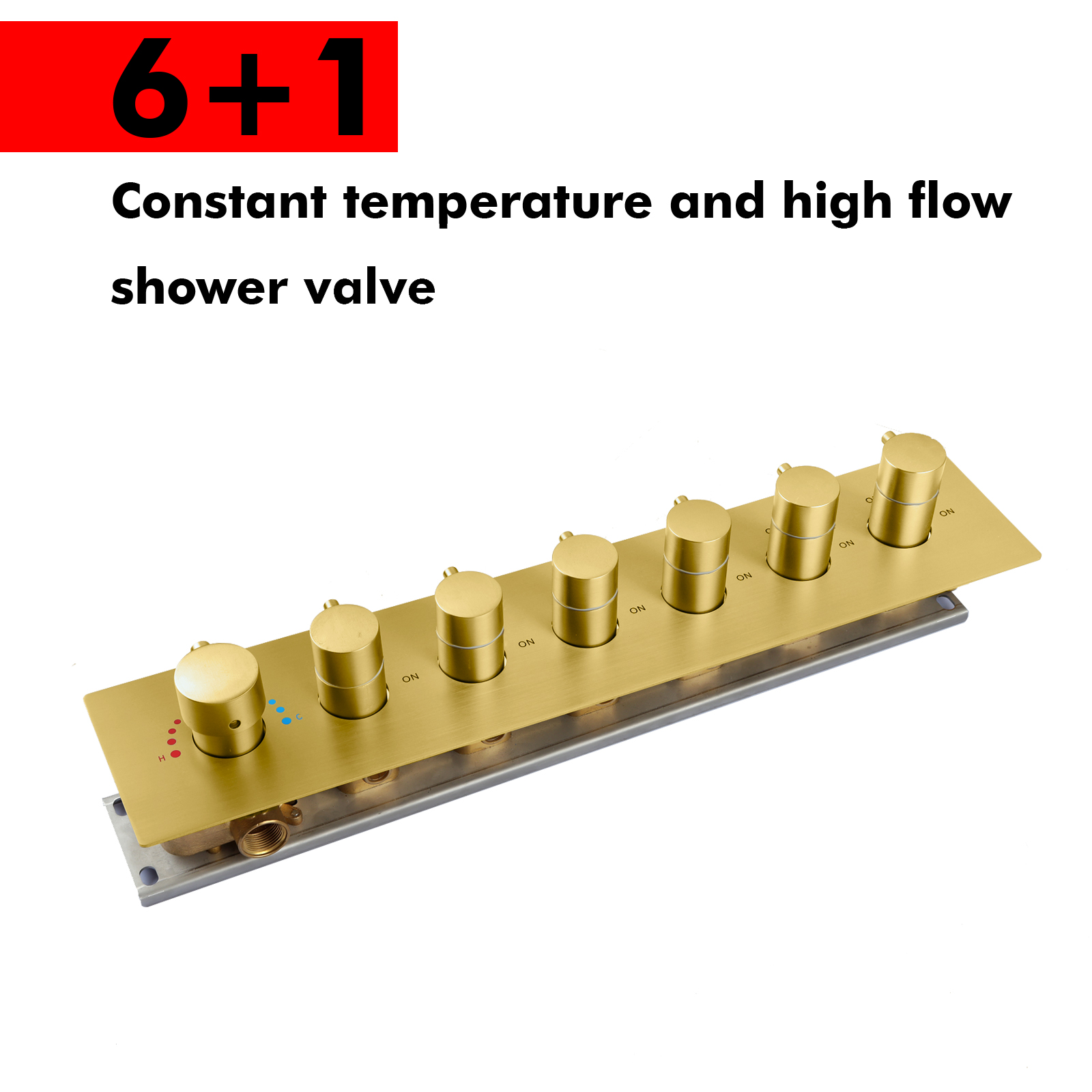 V&aacute;lvula de ducha